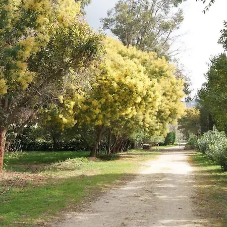 Appartement Chez Virginie Et Laurent *
