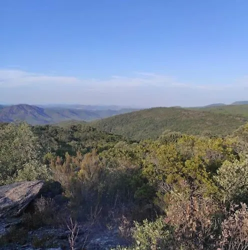 Lägenhet Chez Virginie Et Laurent *
