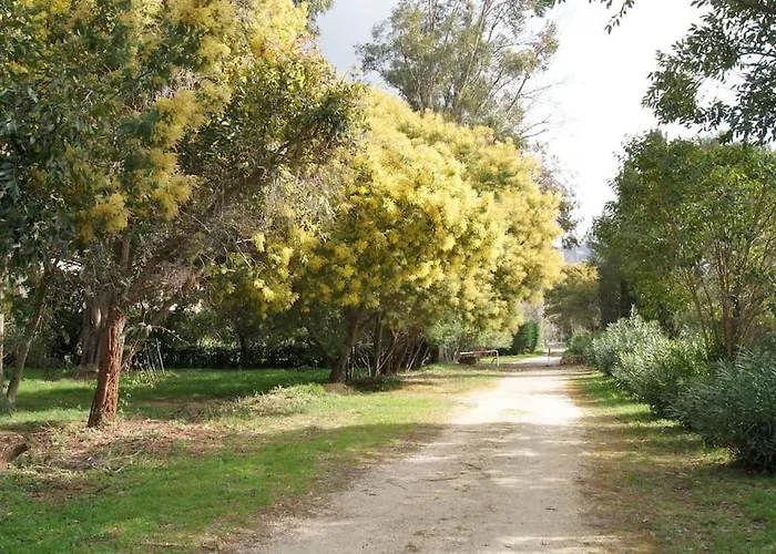 Lägenhet Chez Virginie Et Laurent *